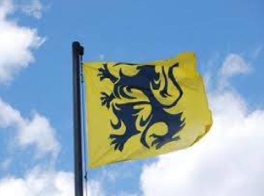 Hang het beest uit! De Vlaamse leeuw