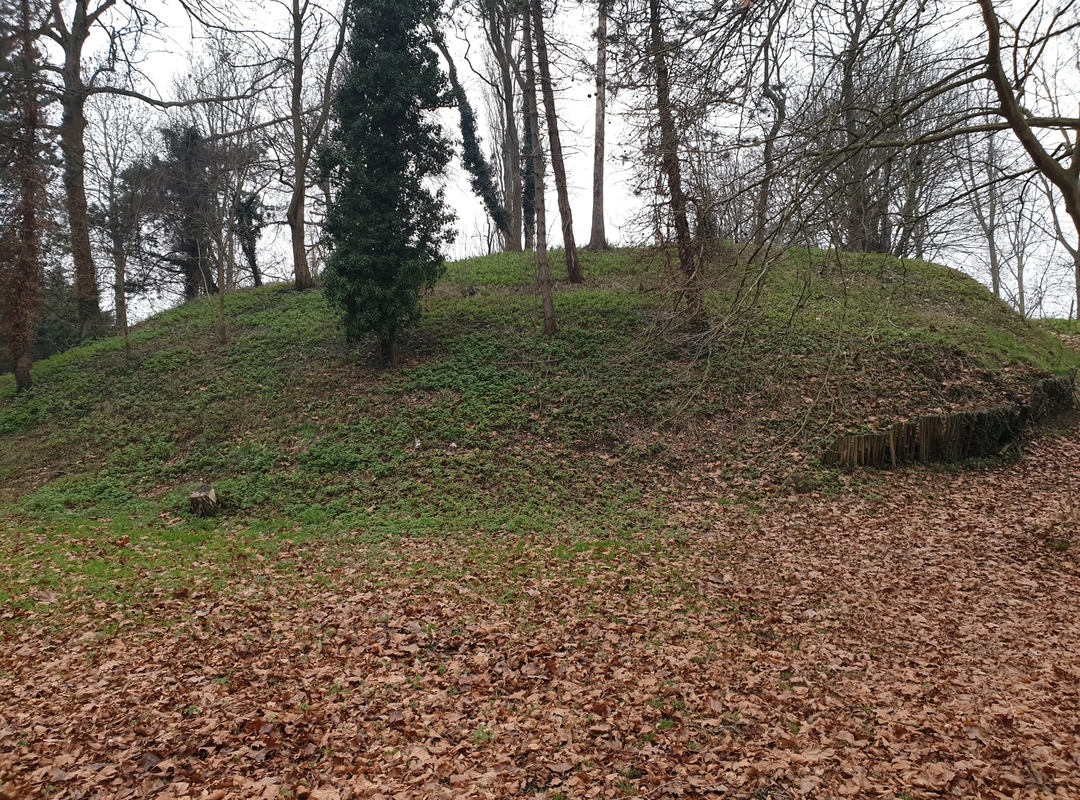 De Motte De Motte